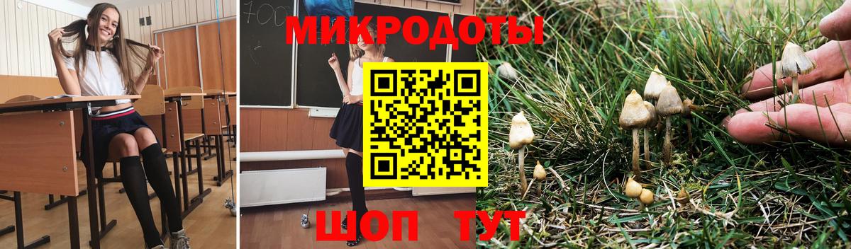 Тольятти  Псилоцибиновые грибы Magic Shrooms  Галлюциногенные грибы MAGIC MUSHROOMS  Вход с VPN 