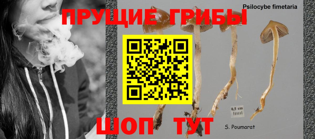 Галлюциногенные грибы мицелий Тольятти